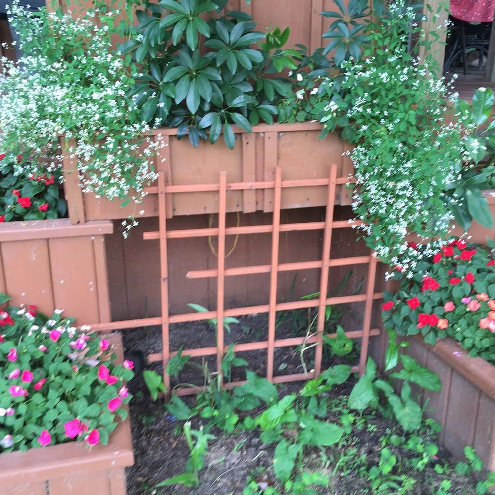 Meet your Posher, Muriel